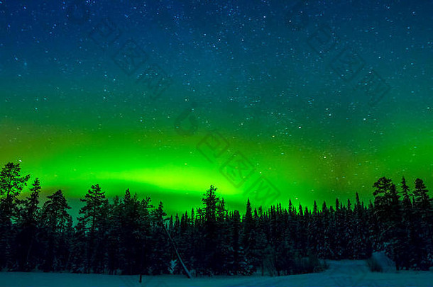冬天芬兰边缘密集的森林明亮的极光北欧化工布满星星的天空