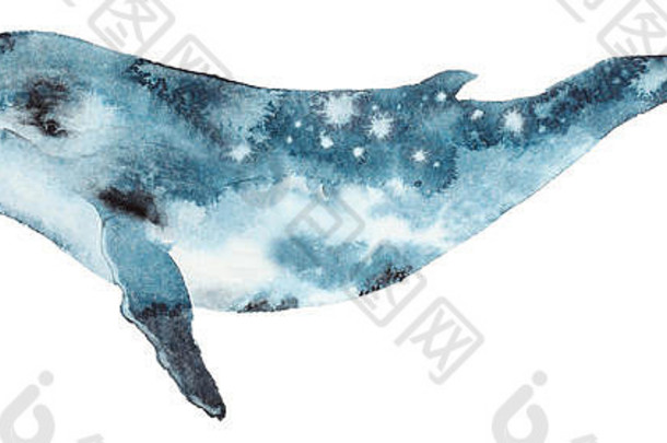 水彩蓝色的鲸鱼
