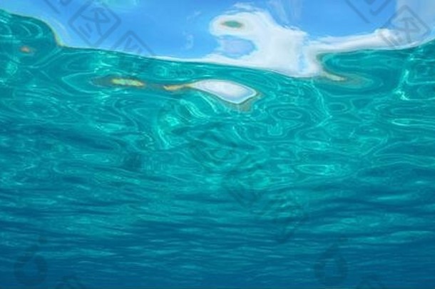 水表面水下自然场景地中海海法国