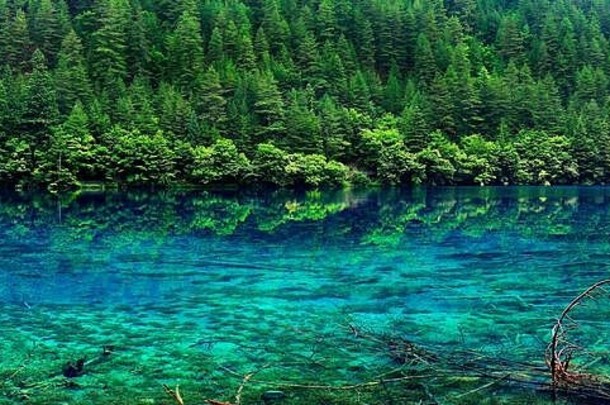 视图色彩斑斓的湖九寨沟国家公园四川中国