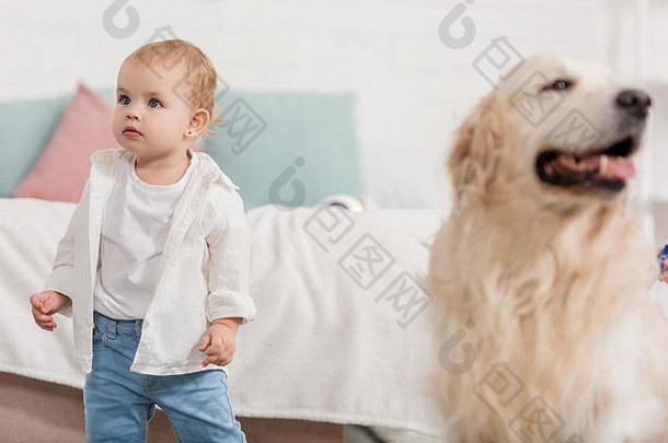 可爱的孩子金寻回犬坐着地板上孩子们房间