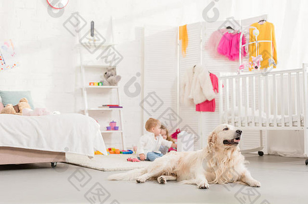 可爱的孩子们玩玩具金寻回犬说谎前景孩子们房间
