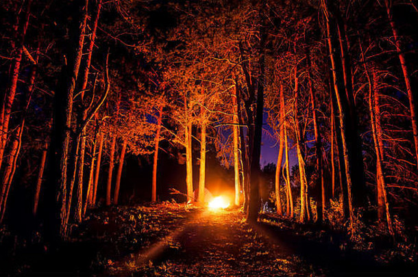 黑暗森林篝火晚上