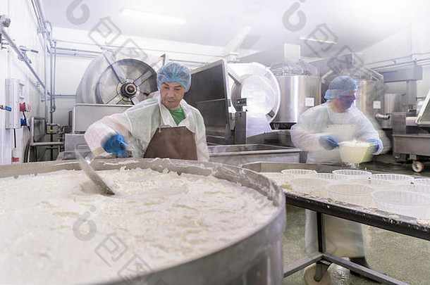工人使ricotta奶酪奶酪工厂