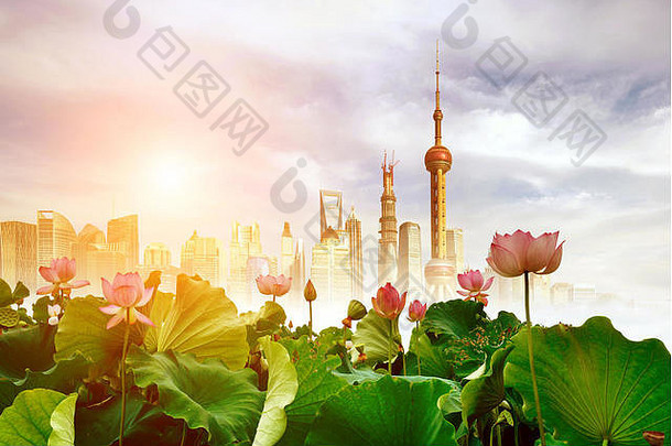 上海天际线莲花完整的布鲁姆蓝色的天空