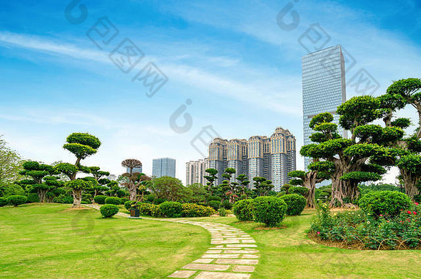 金融区域草坪上高建筑树南宁中国