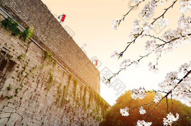 古老的城市墙中华门南京中国