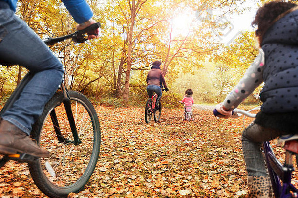 年轻的家庭自行车骑秋天森林