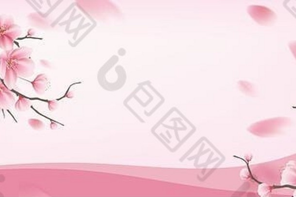 美丽的粉红色的樱桃开花横幅背景日本文本意味着樱花花