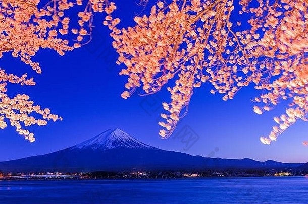 富士日本湖川口春天季节