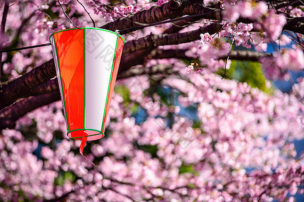 东京日本樱桃树灯笼上野公园