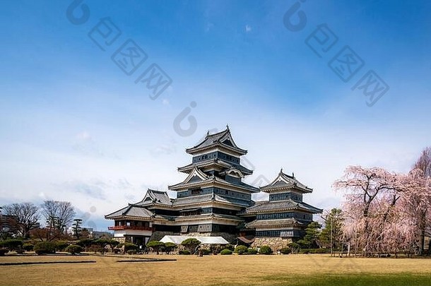 松本城堡樱桃开花樱花著名的风景松本长野日本日本旅游历史建筑传统的