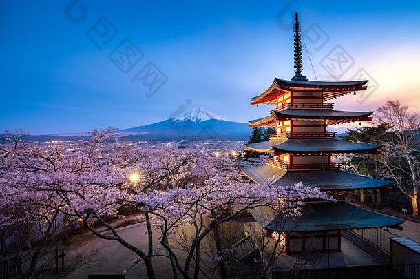 Fujiyoshida日本Chureito宝塔富士春天樱桃花朵完整的布鲁姆《暮光之城》日本景观自然旅行