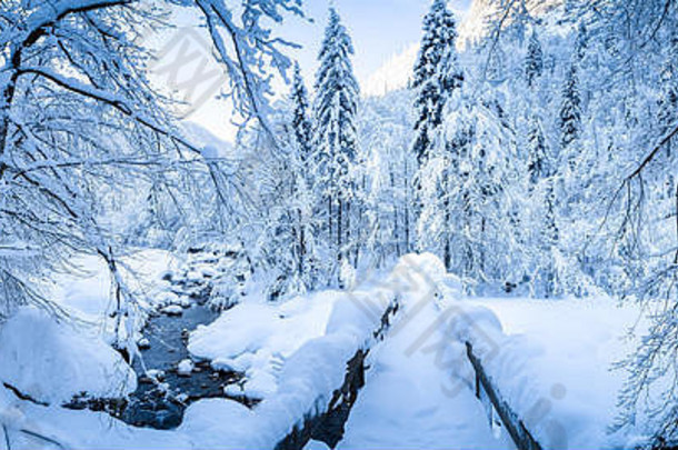 全景视图风景优美的冬天木桥领先的河床上覆盖深雪美丽的冷阳光明媚的一天