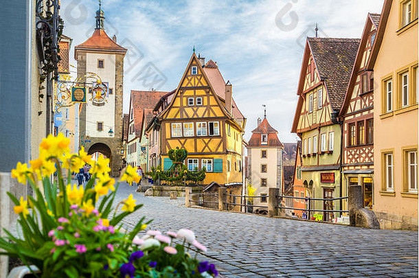 经典视图中世纪的小镇罗滕堡的陶贝尔盛开的花美丽的阳光明媚的一天春天巴伐利亚德国