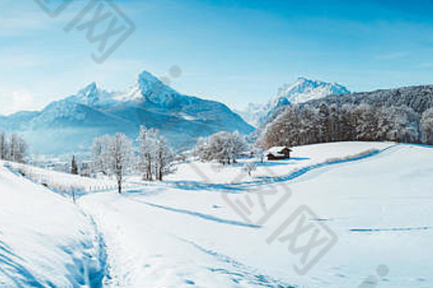 美丽的冬天风景树山上衣阿尔卑斯山脉阳光明媚的一天蓝色的天空云