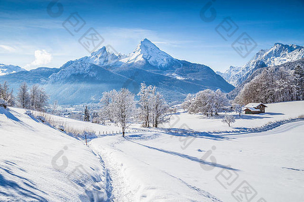 田园冬天仙境风景树山上衣阿尔卑斯山脉阳光明媚的一天蓝色的天空云