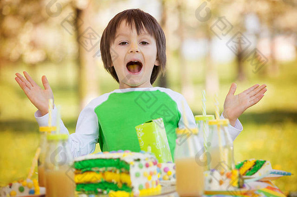 快乐甜蜜的学前教育孩子们朋友亲戚庆祝生日可爱的男孩户外盛开的苹果树