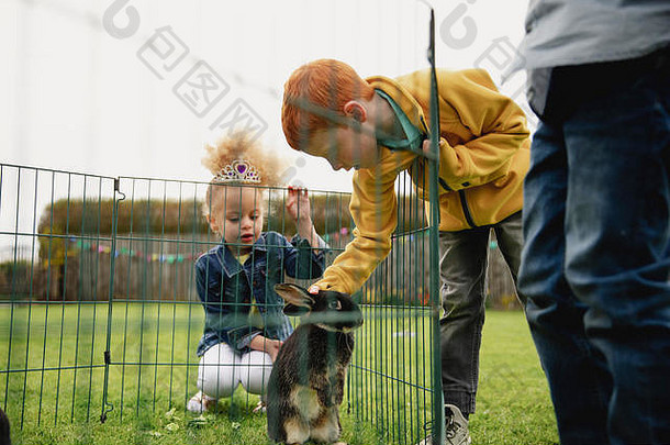 低角视图年轻的男孩倾斜兔子笼子里栅栏中风女孩跪着笼子里兔子