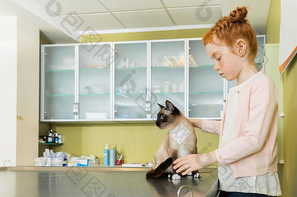 女孩兽医诊所猫