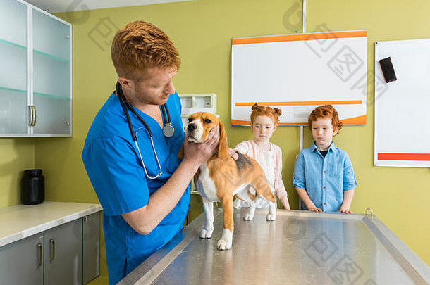 兽医检查小猎犬号狗诊所孩子们宠物主人站