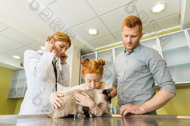 男人。女儿兽医医生宠物检查猫