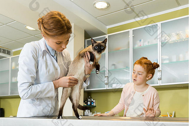 女孩兽医医生检查猫