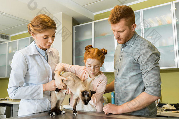 男人。女儿兽医医生宠物检查猫
