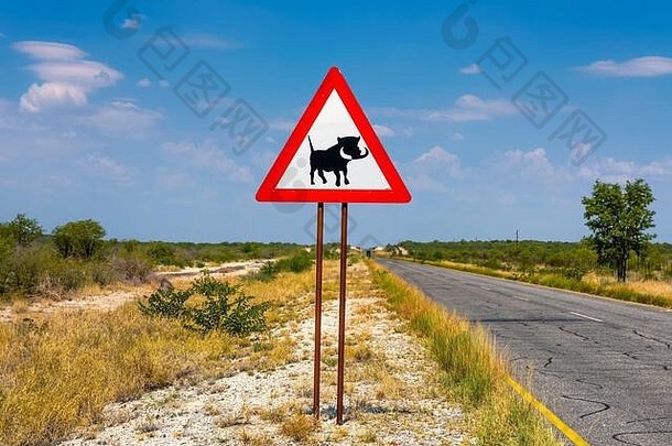 疣猪穿越警告路标志路纳米比亚