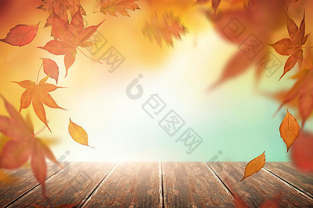 秋天季节背景下降树叶子木表格