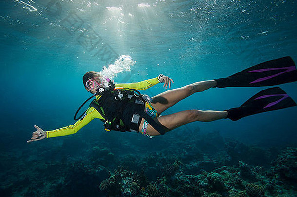 女人潜水潜水热带水