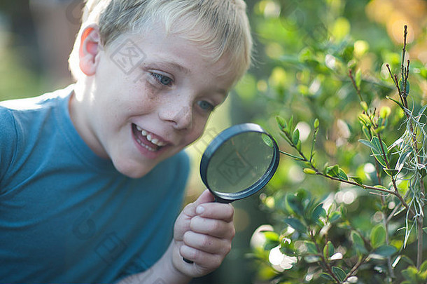 男孩发现植物放大玻璃花园