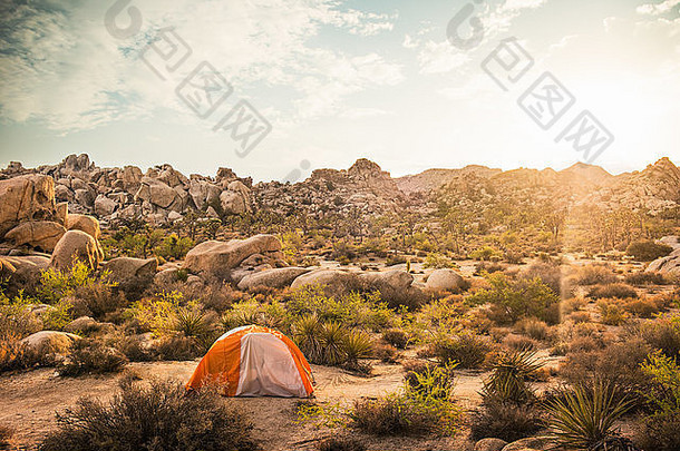 帐篷约书亚树国家公园加州