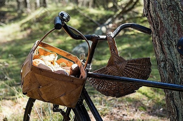 自行车觅得蘑菇篮子森林