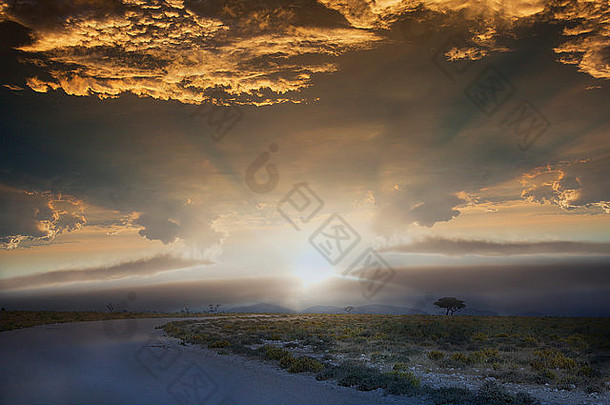 路日出埃托沙国家公园纳米比亚