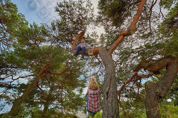 年轻的男孩坐着树朋友攀爬绳子梯树加入