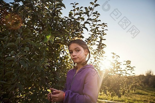 女孩果园挑选苹果树相机