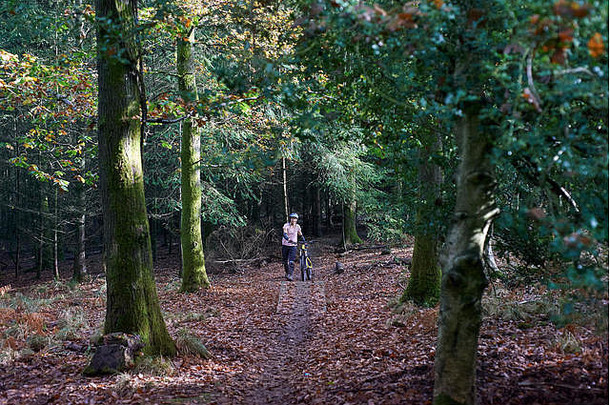 女山骑摩托车的人推山自行车秋天叶子森林迪安布里斯托尔
