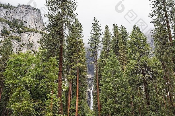 视图森林瀑布约塞米蒂国家公园加州美国