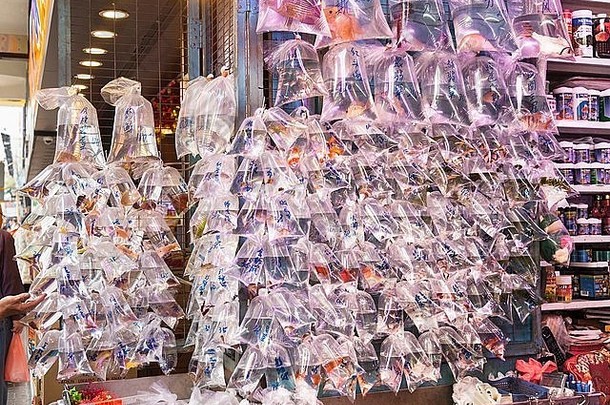 鱼出售鱼市场莫角在香港香港中国