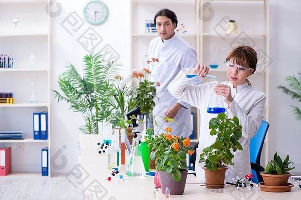 年轻的植物学家工作实验室