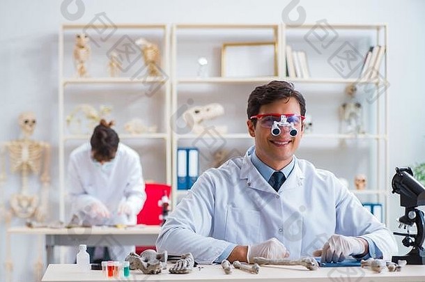 教授研究人类骨架实验室
