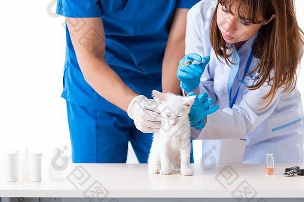 年轻的兽医医生检查生病的猫