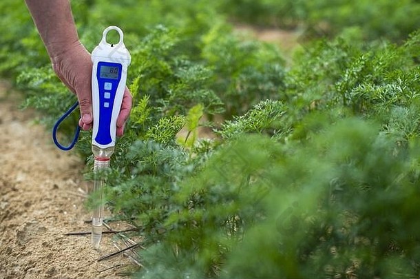 测量土壤数字设备绿色<strong>植物</strong>女人农民测量水分土壤
