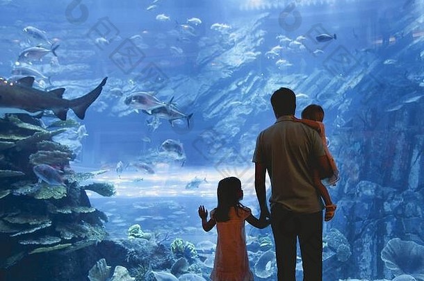 父亲女儿看鱼海洋水族馆