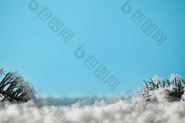 云杉分支机构雪蓝色的圣诞节背景