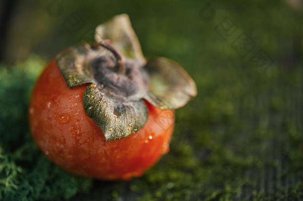 新鲜的成熟的柿子木表格莫斯秋天收获头复制空间黑暗食物摄影