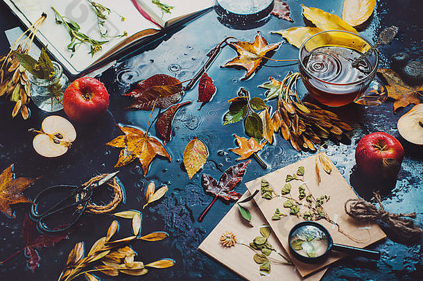 表格茶杯秋天叶子苹果开放笔记本草本植物