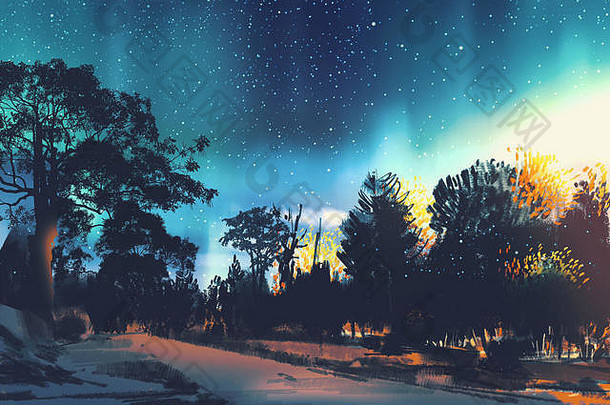 明星场树森林晚上风景插图