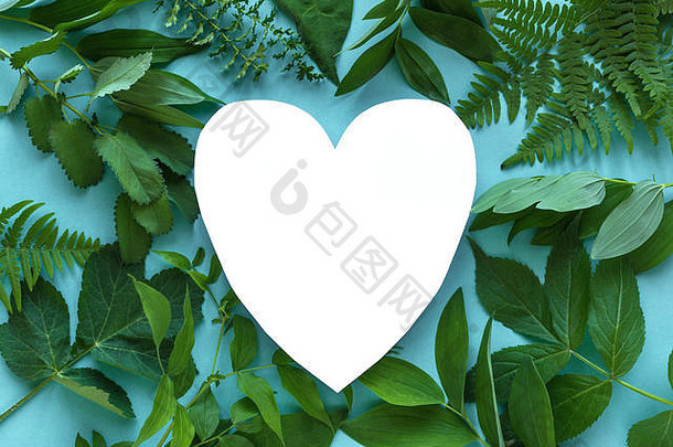 有创意的布局绿色叶子野生植物蓝色的白色心形状的纸复制空间夏天春天爱生态概念